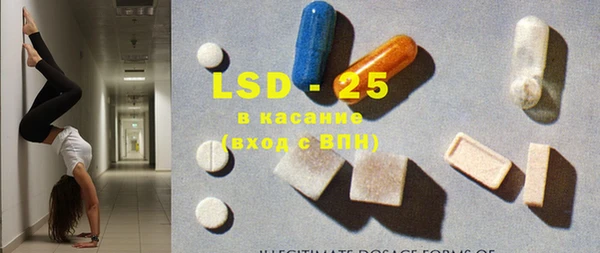 apvp Аша