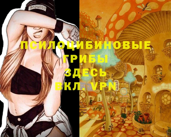 a pvp Беломорск