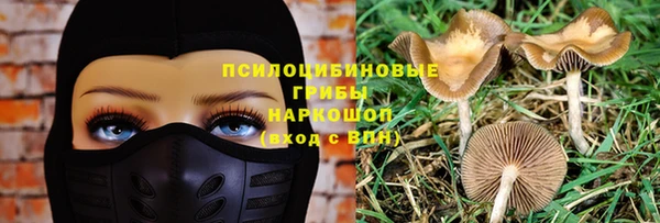 apvp Белоозёрский