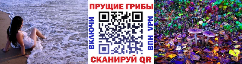 закладки  Высоковск  Галлюциногенные грибы мухоморы 